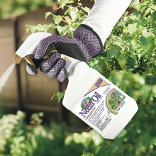 Bonide Captain Jack's 16 oz Neem Oil Ready-to-Use Spray for Insect, Fungus and Mite Control