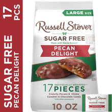 RUSSELL STOVER Sugar Free Pecan Delight Chocolate Candy, 10 oz. bag