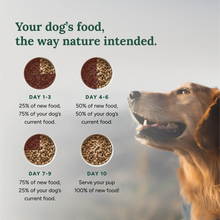 360 Pet Nutrition Multi Protein Flavor Freeze Dried Dog Food