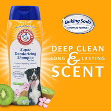Arm & Hammer Dog Deodorizing Shampoo with Baking Soda, Kiwi Blossom Scent 20 oz