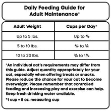 Special Kitty Complete Nutrition Chicken & Turkey Flavor Dry Cat Food, 35 lb Bag