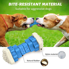 MASBRILL Interactive Dog Chew Toy–Brightly Colored Dog Enrichment Toy for Aggressive Chewers-Blue
