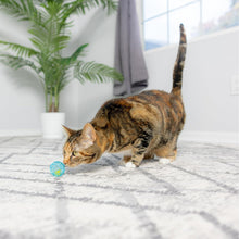 Lattice Balls with Jingle Bells for Cats, 4 Count