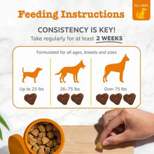 Zesty Paws Turmeric Curcumin Bites for Dogs, to Support Liver Function, Bacon, 90ct