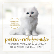 Purina Fancy Feast Classic Pate Kitten Food, Wet Cat Food, Salmon Primavera, 3 oz Cans (12 Pack)