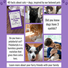 Friskies Lil Soups Adult Cat Food Complement 3 Flavor (2) Each: Sockeye Salmon, Shrimp, Tuna (1.2 Ounces) + MerlinsMart Zine + Catnip Toy