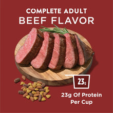 Purina Dog Chow Complete Adult Dry Dog Food, High Protein Real Beef