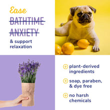 Naturel Promise Promise Fresh & Soothing Calming & Moisturizing Lavender Dog Shampoo, 22oz Bottle
