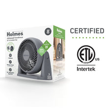 Holmes Blizzard 3-Speed Air Circulator Fan, 90° Adjustable Tilt, Removable Grill, Gray
