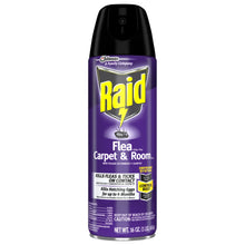Raid Flea Killer Plus Carpet & Room Spray, Bug Spray Kills Fleas & Flea Eggs, 16 oz
