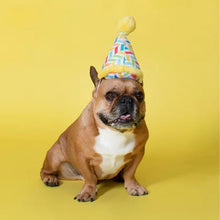 Let'S Pawty Birthday Box Dog Toy Bundle, 5-Piece Set (White)