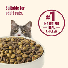 Nutrish Everyday Digestion Chicken Brown Rice and Salmon Recipe with Veggies Dry Cat Food, 13lb Bag
