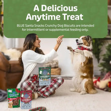 Blue Buffalo Santa Snacks Crunchy Dog Biscuits, Oven-Baked, Oatmeal & Cinnamon, 11-oz. Bag