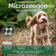 Nature's Protection Superior Care Grain Free Salmon Dry Dog Food, All Breed All Life Stages, 22 lb Bag