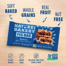 Nature's Bakery Blueberry Fig Bars, 10 Twin packs, 2 oz Each