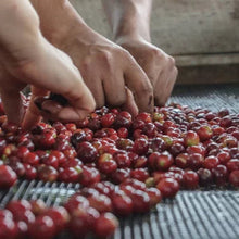 Member'S Mark Medium Roast Ground Coffee, Donut Shop, 40 Oz.