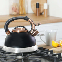Mr.Coffee Flintshire 2.1 Quart Stainless Steel Tea Kettle