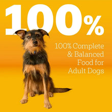 pedigree-adult-dry-dog-food-100-percent-complete-balanced-nutrition-_3 - USA Mega Market