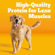 pedigree-adult-dry-dog-food-high-quality-protein-lean-muscles - USA Mega Market