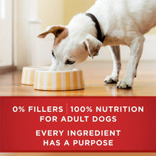 purinaone7 - USA Mega Market
