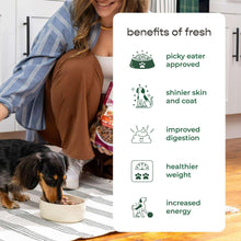 Freshpet Fresh Dog Food, Small Dog Chicken Recipe, Small Bites Freshly Roasted Meals, 1 lb.