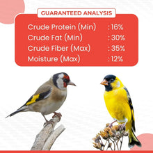Vibrant Life Nyjer Thistle Seed Wild Bird Food for Finches, 10 lb Bag