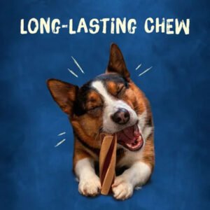 Purina Busy with Beggin' Twist'D Small/Medium Breed Dog Treats (18 Ct.)