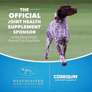 Cosequin Maximum Strength plus MSM Chewable Tablets (180 Ct.)