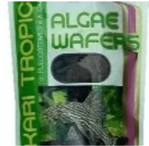 Hikari Sales Tropical Algae Wafers 2.89 Ounces - 21316
