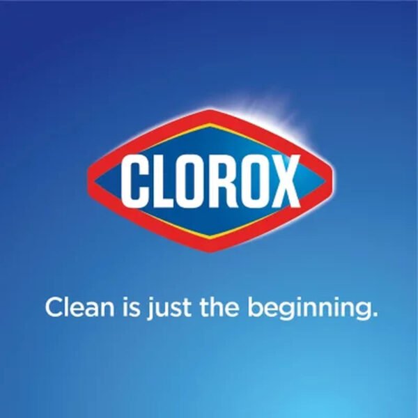 Clorox Toilet Bowl Cleaner with Bleach, Rain Clean (24 Oz., 6 Pk.) - Brands For Less USA