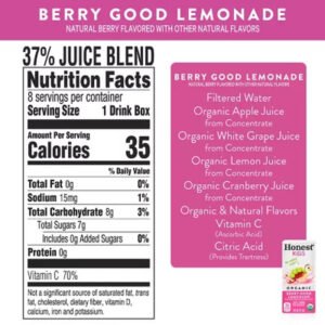 Honest Kids Organic Fruit Juice Drink Boxes Variety Pack (6 Oz., 40 Pk.)